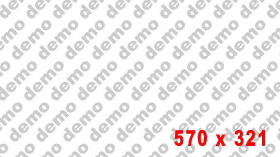 demo570