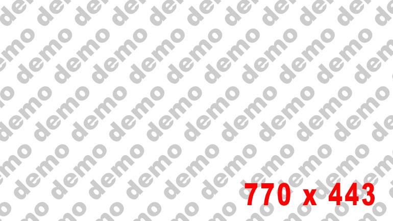 demo770