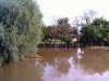 Powódź 2010
