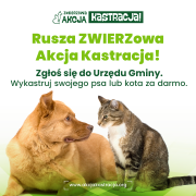 AKCJA KASTRACJA!